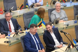 Viltys dar šioje Seimo kadencijoje išsirinkti opozicijos lyderį žlugo: opozicinių frakcijų atstovai teigia klausimą „palaidoję“