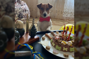 Ukrainiečių Patronas švenčia gimtadienį, bet vietoje dovanų prašo padėti beglobiams gyvūnams