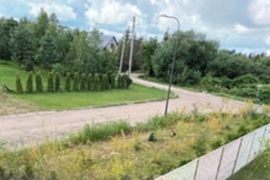 Lieka verkti iš bejėgiškumo: kaunietei šalia kelio puoselėtus želdinius teks rauti lauk