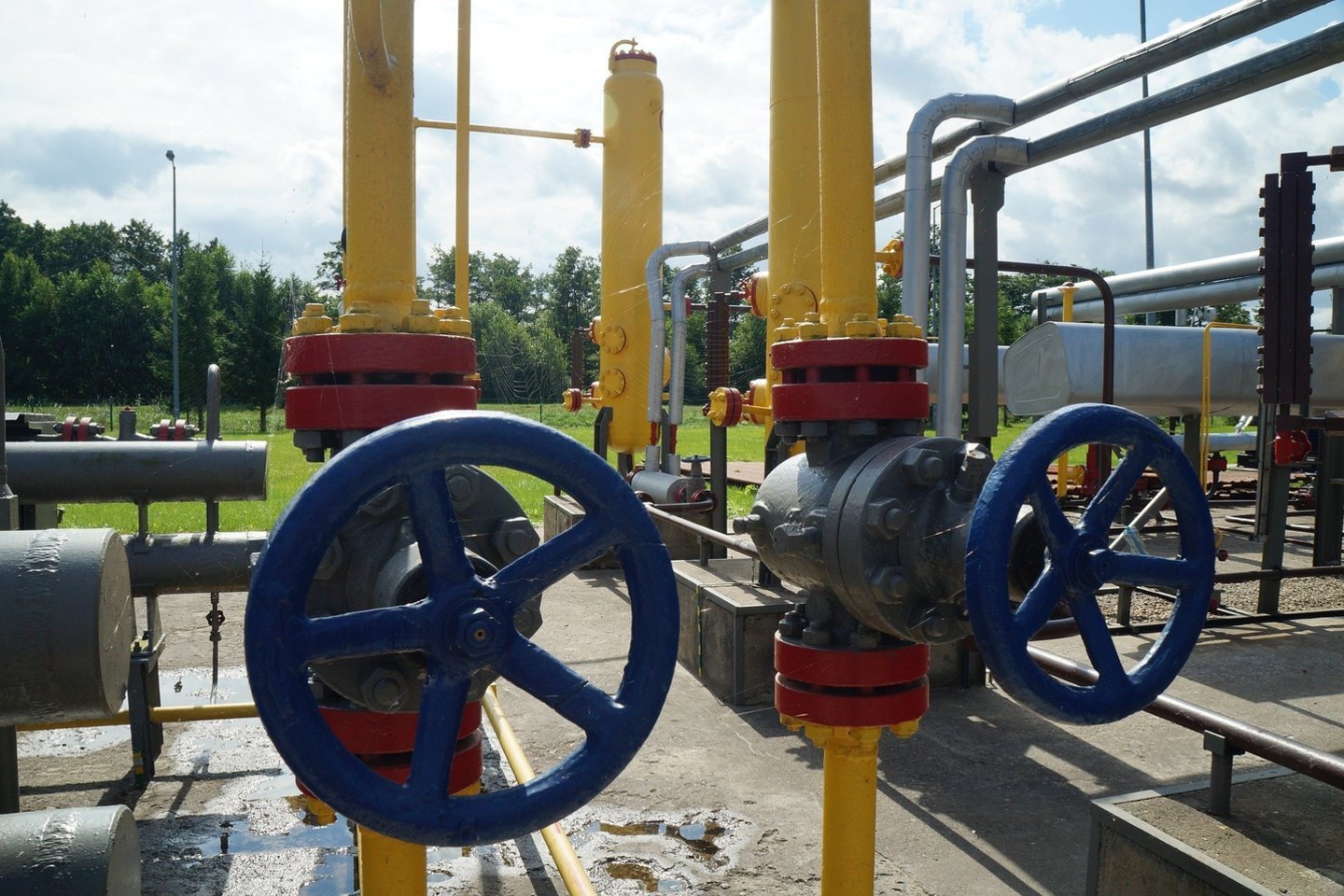 TVF: rusiškų dujų tiekimo nutraukimas skaudžiai smogs Vokietijos ekonomikai.<br>Anita starzycka/Pixabay nuotr.