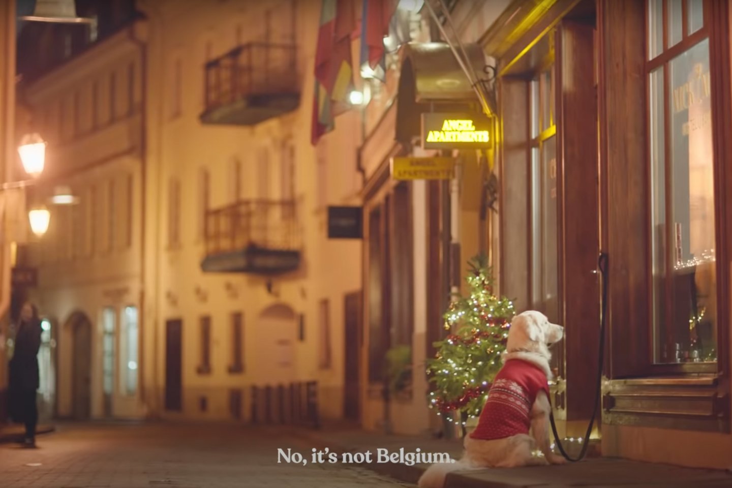 Niujorko pasaulio reklamų festivalyje „New York Festivals Advertising Awards“ Vilniaus kalėdinė reklama tapo finaliste kelionių ir laisvalaikio reklamų kategorijoje.<br>Reklamos stop kadras