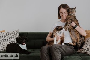 „Per anksti“ Karolinos namuose atsiradusi katytė viena neužsibuvo: vienas po kito apsigyveno ir kiti beglobiai