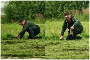 Tūkstančius sužavėjęs darbuotojo poelgis: išgelbėjo žoliapjovės ašmenų link šuoliavusį kiškutį