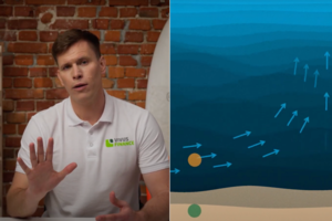 Gelbėtojas video įraše tėvus moko, kaip atpažinti pavojingas jūros sroves: žinios apsaugos vaikus