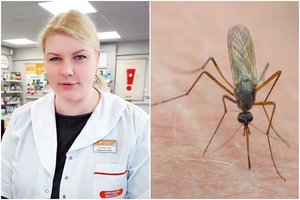 Vaistininkė atskleidė, kokius žmones uodai kanda dažniau: svarbi kraujo grupė ir net plaukų spalva