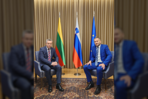 Lietuvos įsigijimai – pavyzdys sąjungininkams: Slovėnijoje pasidalinta patirtimi vystant gynybos sistemą „Vilkas“