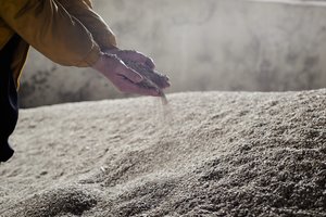 Ukraina teigia, kad susitarimą dėl grūdų pasirašys tik su JT ir Turkija