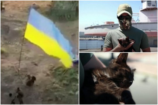 Gyvačių salos išvaduotojams kartu patikėta ir ypatinga misija – išgelbėti rusų okupaciją išgyvenusią katytę