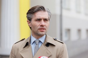 Prezidento patarėjas apie interpeliaciją G. Landsbergiui: vienas iš liūdnesnių elementų