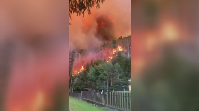 Tvyrant rekordiniams karščiams Čekijos nacionaliniame parke siautėja miškų gaisras: padėtis laikoma kritine