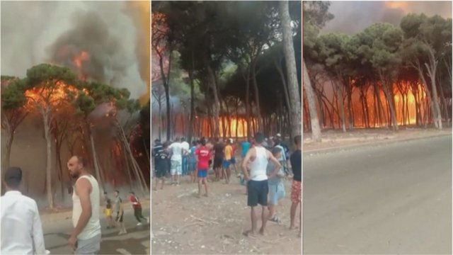 Maroke miškus niokoja siautėjantys gaisrai: išdeginta tūkstančiai hektarų, liepsnos pareikalavo gyvybės