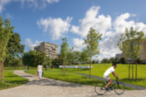 Paskelbė, kaip įamžins partizanų vado J. Lukšos-Daumanto atminimą