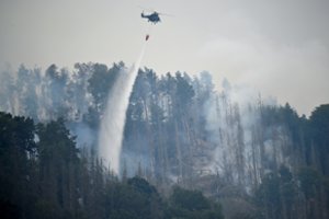 Rytų Vokietijoje plintant miškų gaisrams evakuojami vietos gyventojai