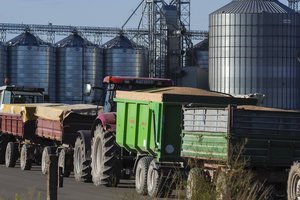 Kaip elgtis kilus nesutarimams dėl grūdų kokybės