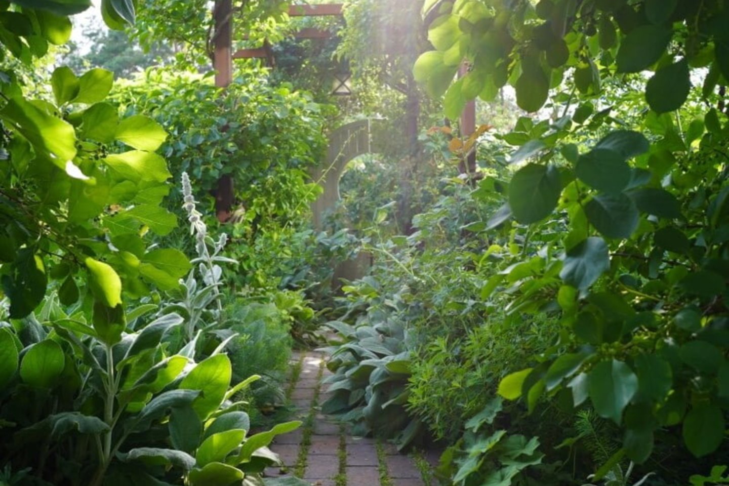 Skirtingi augalų aukščiai, sodo kambarių kūrimas ir kuo mažiau trinkelių – raktas į gražų estetinį vaizdą.<br>L.Liubertaitės nuotr.