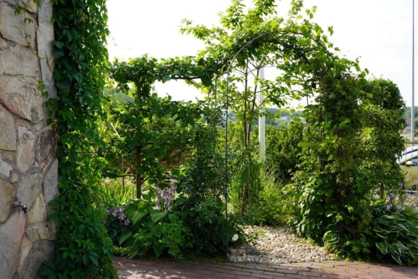 Arkos su vijokliniais augalais arba su specialiai suformuotais vaismedžiais sukuria karališką vaizdą.<br>L.Liubertaitės nuotr.