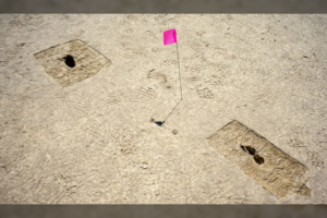 Aptiko ir ištyrė vaiduokliškus pėdsakus