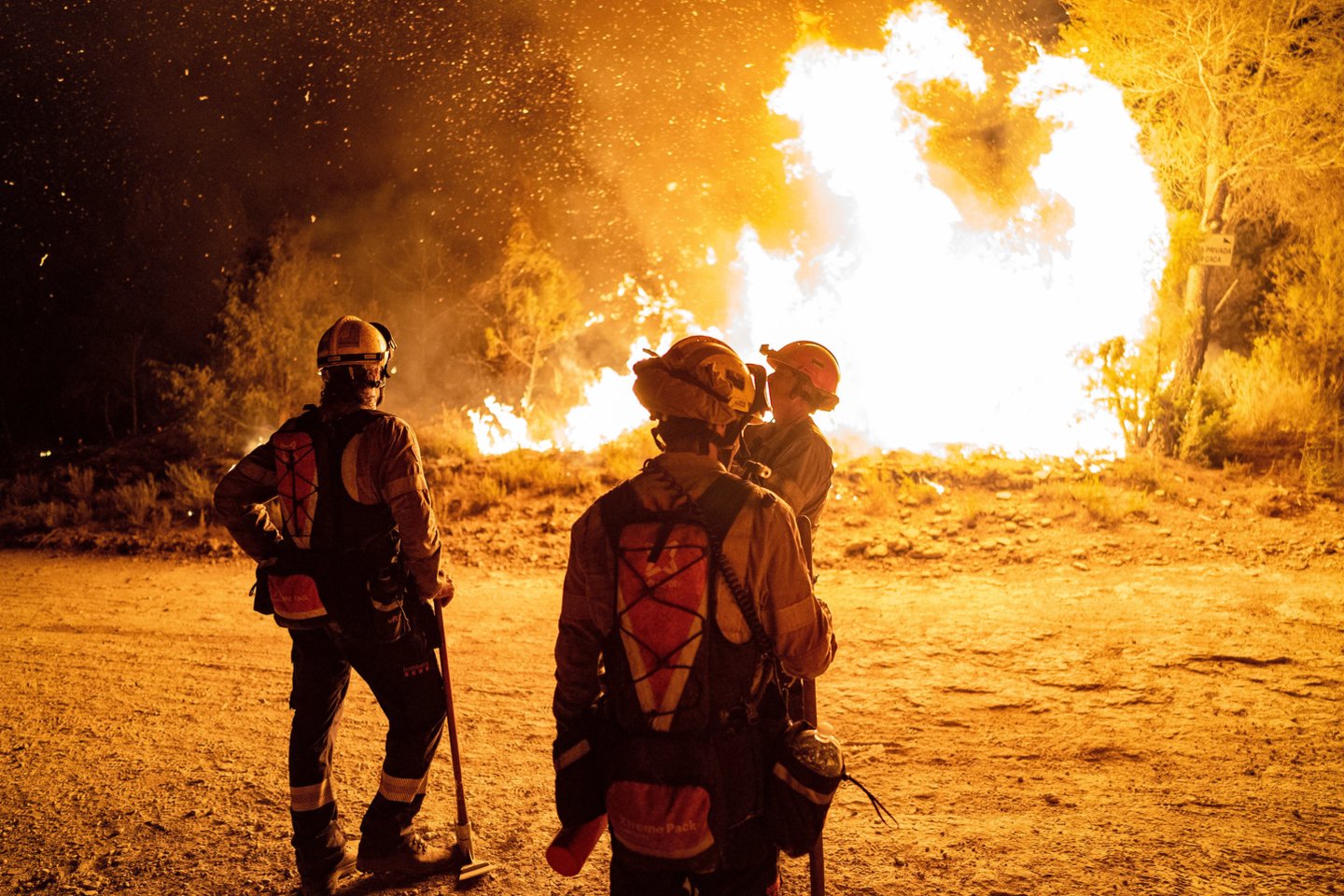 Šią vasarą Europą siaubiantys miškų gaisrai nemalšta, trečiadienį su gaisrais kovojo Vokietijos ir Čekijos Respublikos ugniagesių komandos.<br>ZumaPress/Scanpix nuotr.