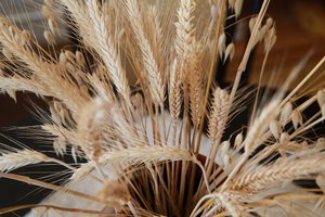 J. Neverovičius: dėl grūdų vežimo per Baltarusiją turėtų spręsti pati Ukraina