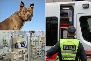 Po šiurpaus pitbulio išpuolio Alytuje – naujos detalės: mergaitė ligoninėje jau 10 dienų, iškelta baudžiamoji byla