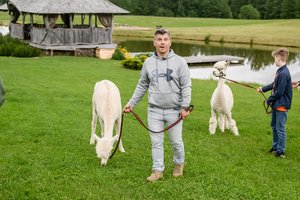 Norvilai lanko Molėtus: išskirtinės žaidimų aikštelės ir ypatingi muziejai