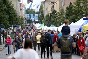 Incidentas sutrikdė Jūros šventės eiseną: tarnybas ant kojų sukėlė į gatvę išbėgęs vyras