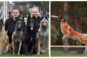 Kinologijos šventėje – ir tarptautinius medalius skinančių Alytaus keturkojų sportiniai triukai