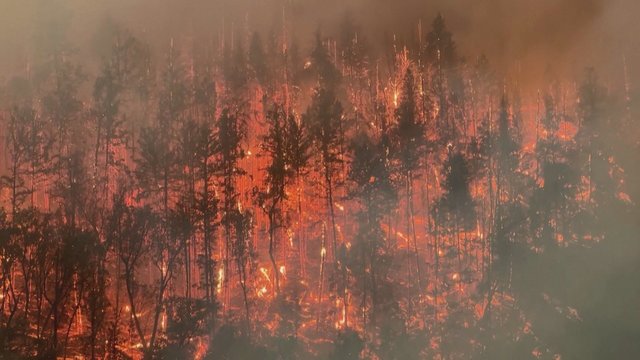 Pražūtingi gaisrai Kalifornijoje tęsiasi: liepsnos apėmė milžinišką miško žemės plotą 