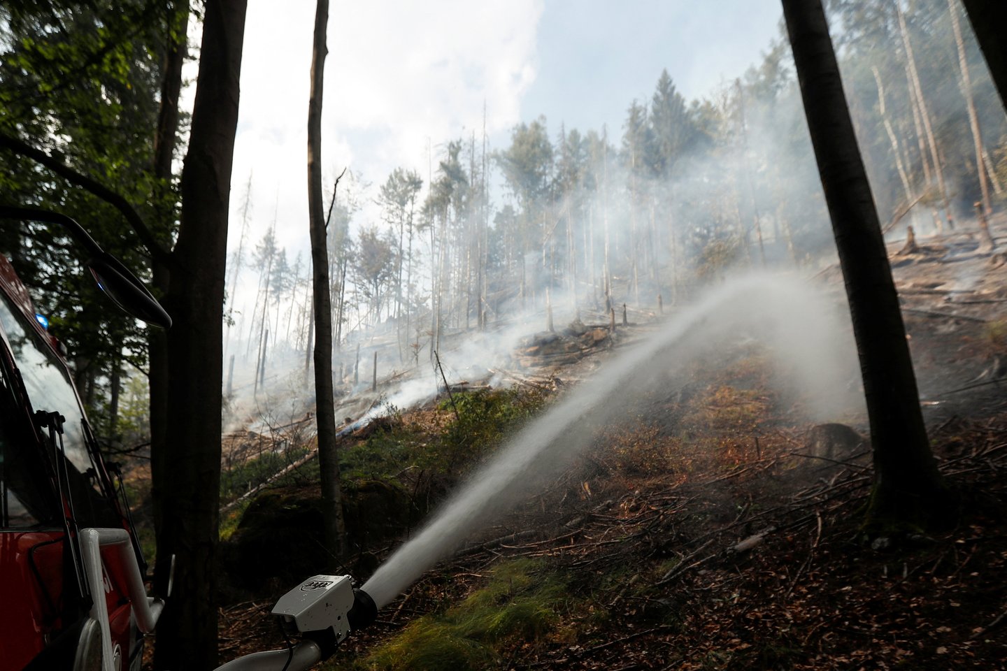Miško gaisras Čekijoje.<br>Reuters/Scanpix nuotr.