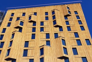 Šioje šalyje pastatai iki keturių aukštų tik mediniai, pokyčiai neišvengiami ir Lietuvoje