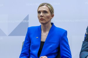 A. Bilotaitė: įstatymas dėl migrantų apgręžimo Seimui galėtų būti pateiktas rudenį