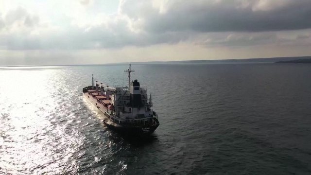 Pranešama: Libanas paleido laivą, kaltintą gabenant iš Ukrainos pavogtus grūdus