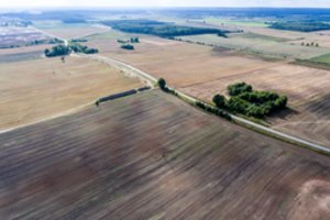 Itin sausringa liepa kelia pavojų pasėliams Europoje