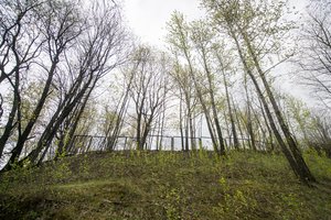 Ant Tauro kalno Vilniuje archeologai rado karstą su paauksuotu kardu