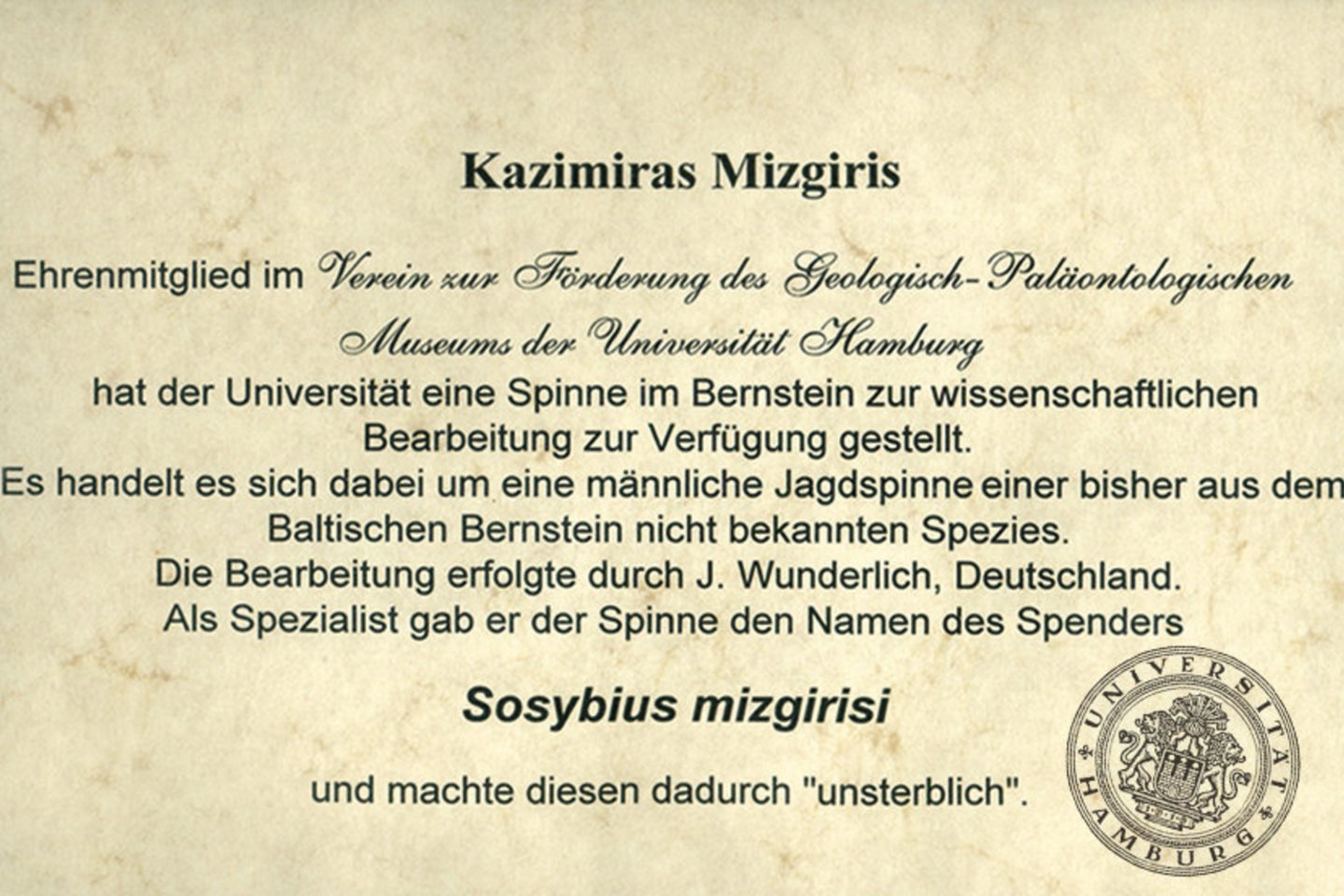 Hamburgo universitetas K.Mizgiriui pranešė, kad voras pavadintas jo vardu.<br> Mizgirių muziejaus nuotr.