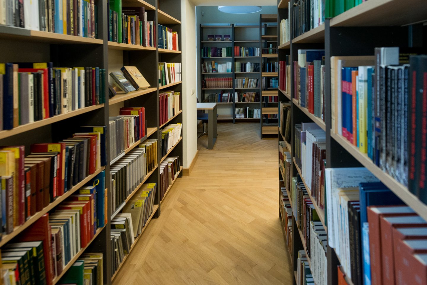 A.Mickevičiaus bibliotekoje.<br>J.Stacevičiaus nuotr.