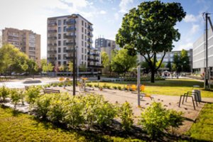 Aplinkos ministerija dėl želdynų normų nustatymo rengs viešas diskusijas 