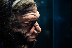 Mokslininkai mano nustatę esminį skirtumą tarp žmonių ir neandertaliečių smegenų