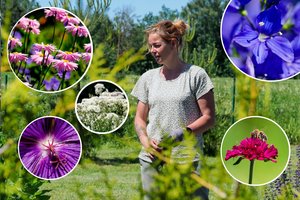  Žemaitės apsukos stebina: viena rūpinasi 1,5 tūkst. veislių gėlynu ir vadina tai gyvenimo džiaugsmu