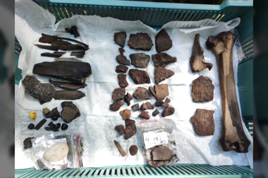 KU archeologai Kukuliškių piliakalnyje aptiko didžiausią iki šiol sėklų kolekciją