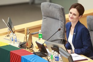 V. Čmilytė- Nielsen: šiandien Baltarusijos kelias į Europą eina per Kijevą