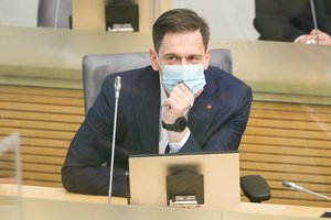 D. Kreivys: trečiasis elektros rinkos liberalizavimo etapas gali būti atidėtas
