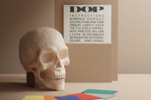 Fluxus judėjimo eksponatai nuo šiol šmaikščiai pristatomi ir unikalioje svetainėje