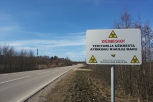 Afrikinis kiaulių maras plinta – užsikrėtusios kiaulės sunaikintos dar viename ūkyje