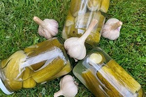 Marinuoti agurkai pagal Ingridos receptą: paruošti lengva, o rezultatas patinka visai šeimai