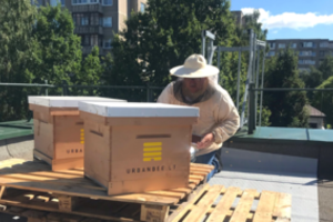 Vaikai supažindinami su bitėmis: ant darželių stogų kyla aviliai