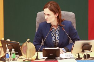 V. Čmilytė-Nielsen sako bandysianti sutelkti didesnę vadovų delegaciją vizitui į Taivaną
