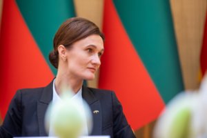V. Čmilytė-Nielsen: žmonės mažo kiekio narkotikų dekriminalizavimą painioja su legalizavimu