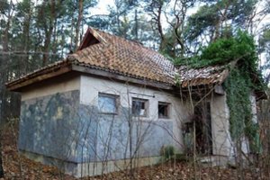 Bet koks pajūrio statinys aukcione auksu virsta: už seną pirtį Smiltynėje pasiūlė kosminę sumą