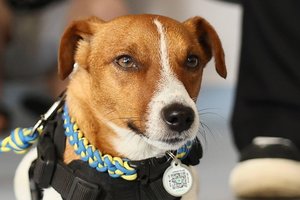 Ukrainiečių Patronas gavo dviejų JAV veteranų organizacijų apdovanojimus